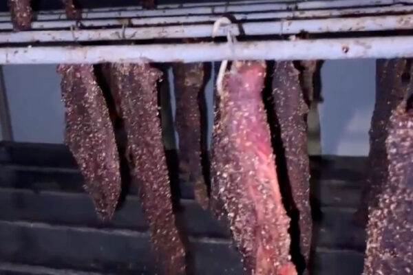 Biltong